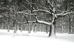 photo 0303